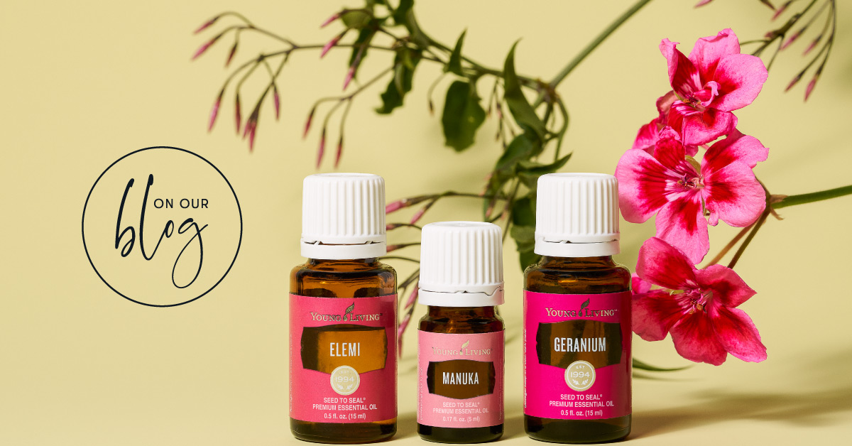 NightWellness's tweet photo. Spring has sprung! Refresh your home with these essential oils https://t.co/Hq0LQrteXR https://t.co/7OmLbC4cqI