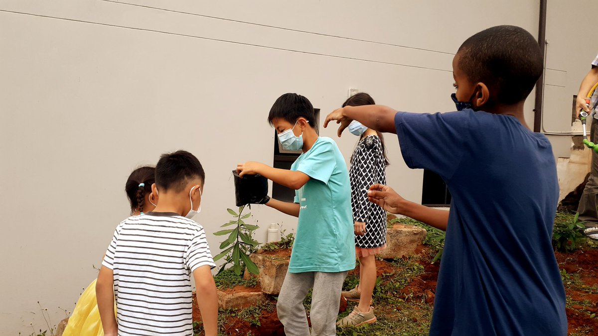 Education is a key enabler for change toward sustainability, a powerful solution to address the environmental & social crises.
#StopTheSame #Youth4Biodiversity #BiodiversityYouthWave
Me teaching other children how to plant endangered trees 🌳🌳🌳🌳🌳 SDG4