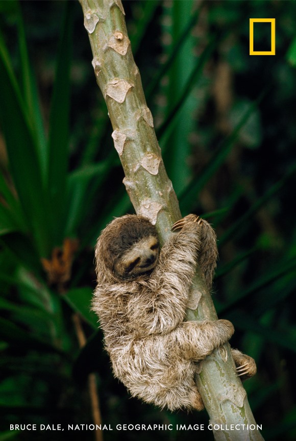 Nat Geo Travel tweet media