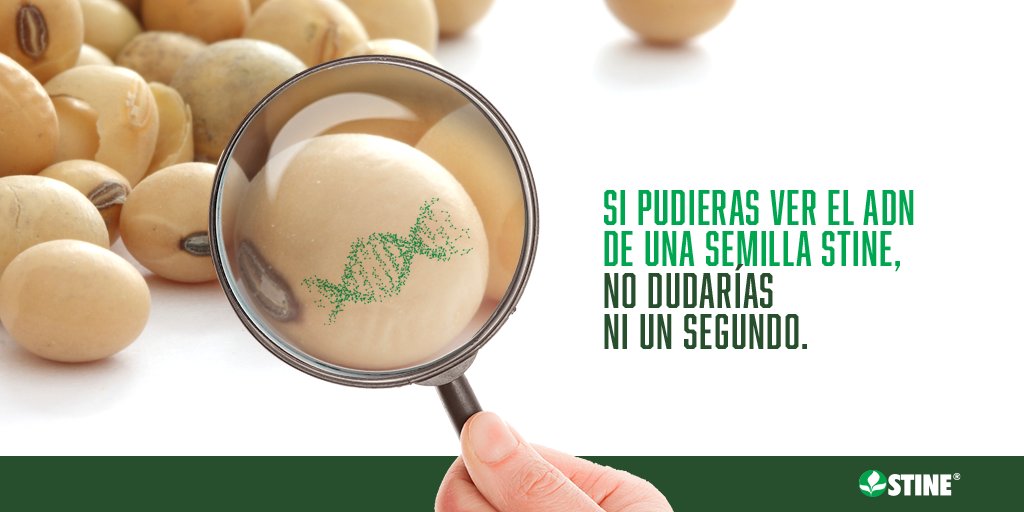 La genética de una semilla STINE tiene un ADN inconfundible. Una genetica líder a nivel global en soja que viene a ofrecerle al campo argentino una semilla diferente en el mercado. Así que si querés que tu campo la rompa, ya sabés, #StineTieneRinde