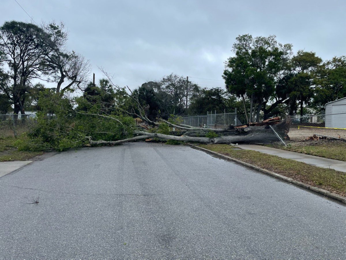 Sarasota Police Department sent me photos of storm damage near downtown Sarasota. This happened around 2:15pm on the 2000 block of 10th Street. <a href="/SarasotaPD/">Sarasota Police Department</a>
