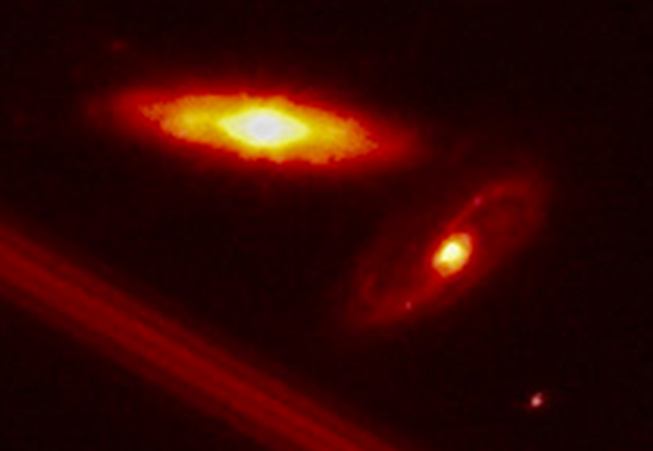 lee roop tweet media