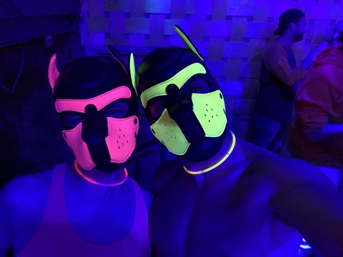 PupRipple's tweet photo. Happy Birthday @PupClover 🎉 I love you so much 💛 💖 You make a pawstastic 🐾 ✨ life partner and I’m so lucky 🍀 to be in love with you — Here’s to many more!🍻 https://t.co/RcHmI9jjd3