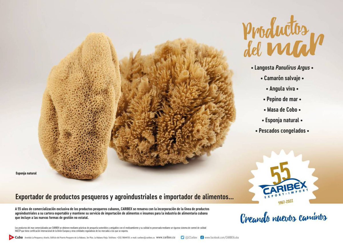 CCaribex's tweet photo. CARIBEX y sus productos: Esponja Natural... 55 años exportando, creando nuevos caminos.
@minalcuba
@grupopesquero https://t.co/L8Kg5NgdsA
