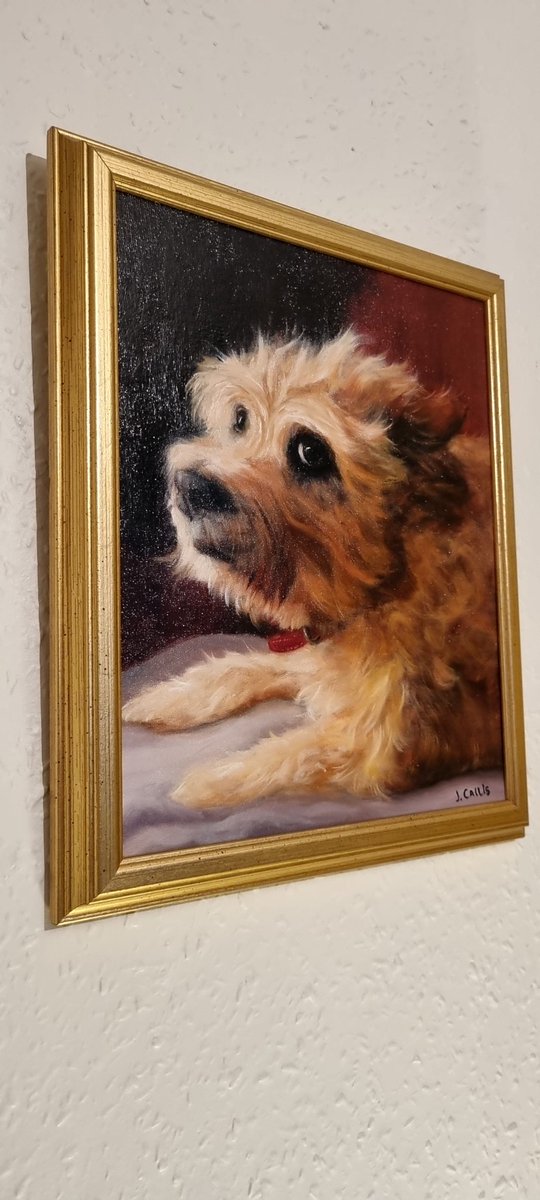 KarlGaff's tweet photo. @sharongenest @jeffbcraven Look alikes! This is Wags, she died last summer aged 16. 😢 https://t.co/JYqkJnrf9t