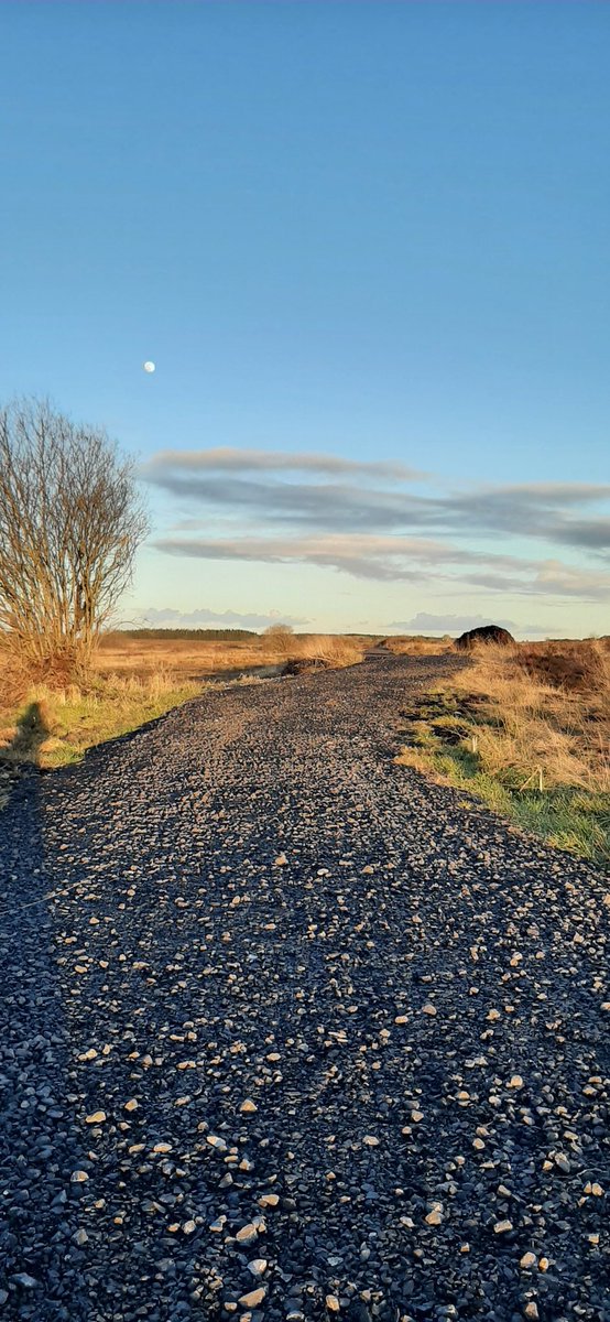 helmurray3's tweet photo. Gorgeous evening for a walk, day 75 #100daysofwalking @NTBreakfast 
#lovewhereyoulive #CurrySligo https://t.co/pWZU7ShvbL