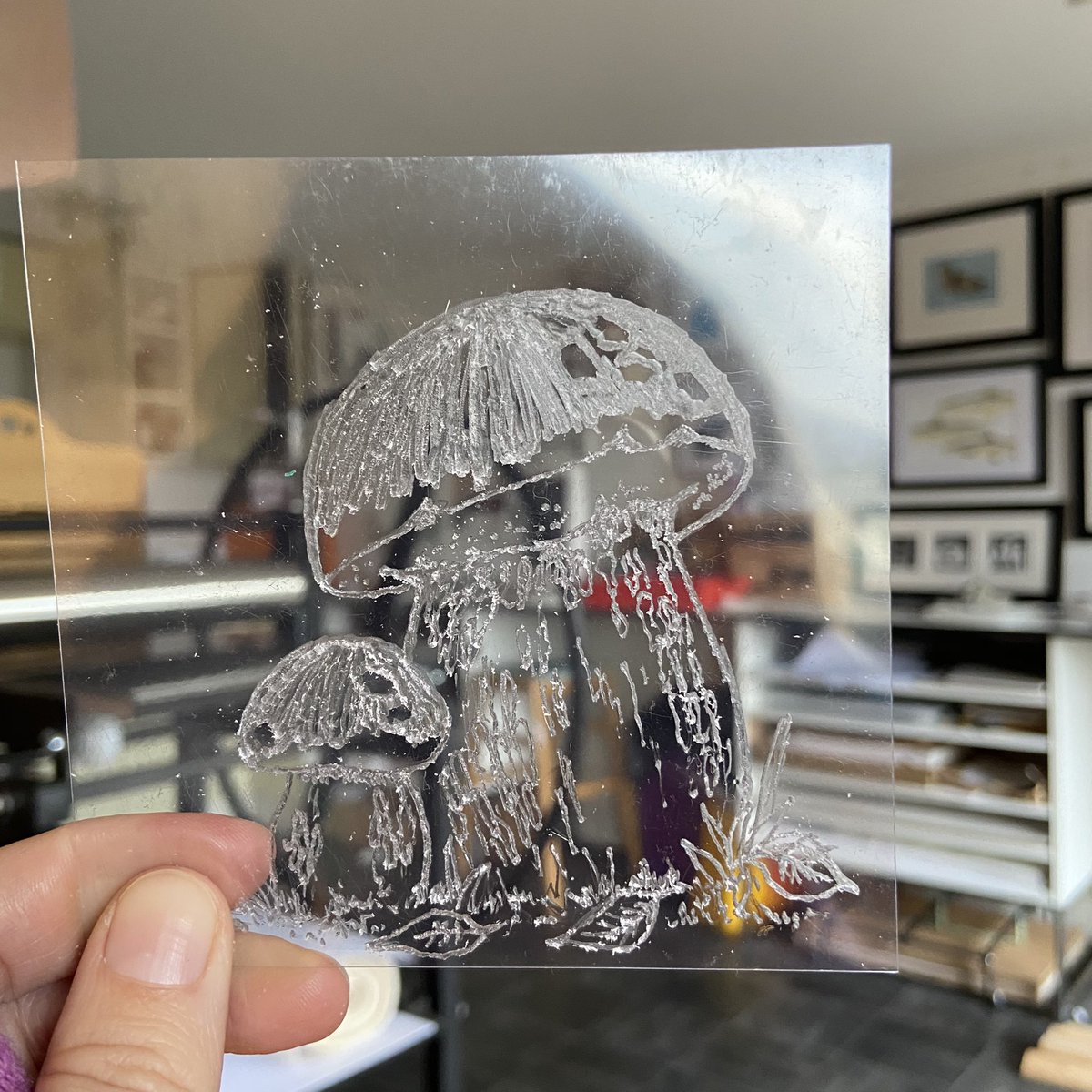 sarah_delahoy's tweet photo. My full collection of fungi drypoint prints π #mushrooms #fungi #drypointprintmaking #printmaking https://t.co/C8k4U6dRxC