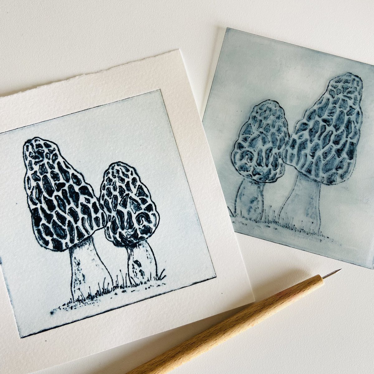 sarah_delahoy's tweet photo. My full collection of fungi drypoint prints π #mushrooms #fungi #drypointprintmaking #printmaking https://t.co/C8k4U6dRxC