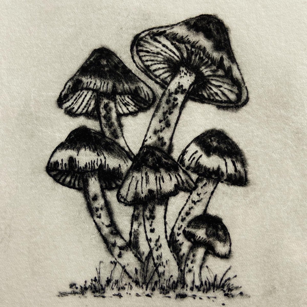 sarah_delahoy's tweet photo. My full collection of fungi drypoint prints π #mushrooms #fungi #drypointprintmaking #printmaking https://t.co/C8k4U6dRxC
