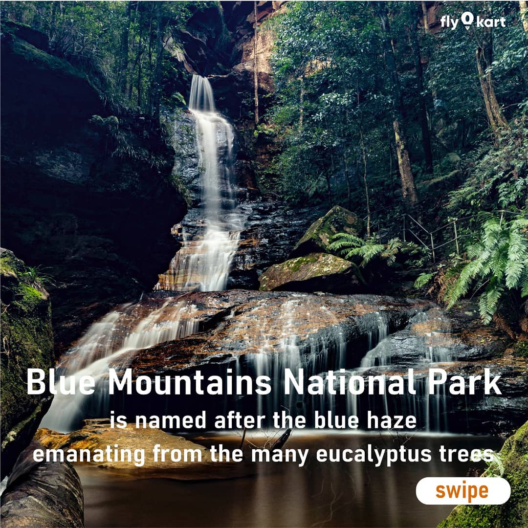 fly0kart's tweet photo. National Park exist, and our planet is better for it.
.
.
.
.
#fly0kart #reinventtravel #bluemountains #bluemountainsnationalpark #theechopoint #echo #nationalpark #nationalparks #travelling https://t.co/vlhrbItMt3