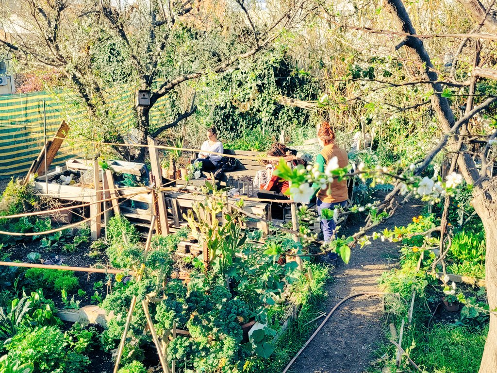 Vuelve la vida al #hortsec. ¡Junt@s podemos defender los bienes comunes! <a href="/MarcSerraSole/">Marc Serra Solé</a> <a href="/carolinalopez_g/">Carolina #BCNenComú</a> <a href="/Vida_Verda/">Vida Verda</a> <a href="/AteneuBase/">La Base Ateneu Coop</a> <a href="/ccalbareda/">Centre Cultural Albareda</a> <a href="/HortdelaLola/">Hort de la Lola</a> <a href="/HortaAlliberada/">L'Horta Alliberada de Sants</a> <a href="/hortlescorts/">Hort Urbà Les Corts</a>