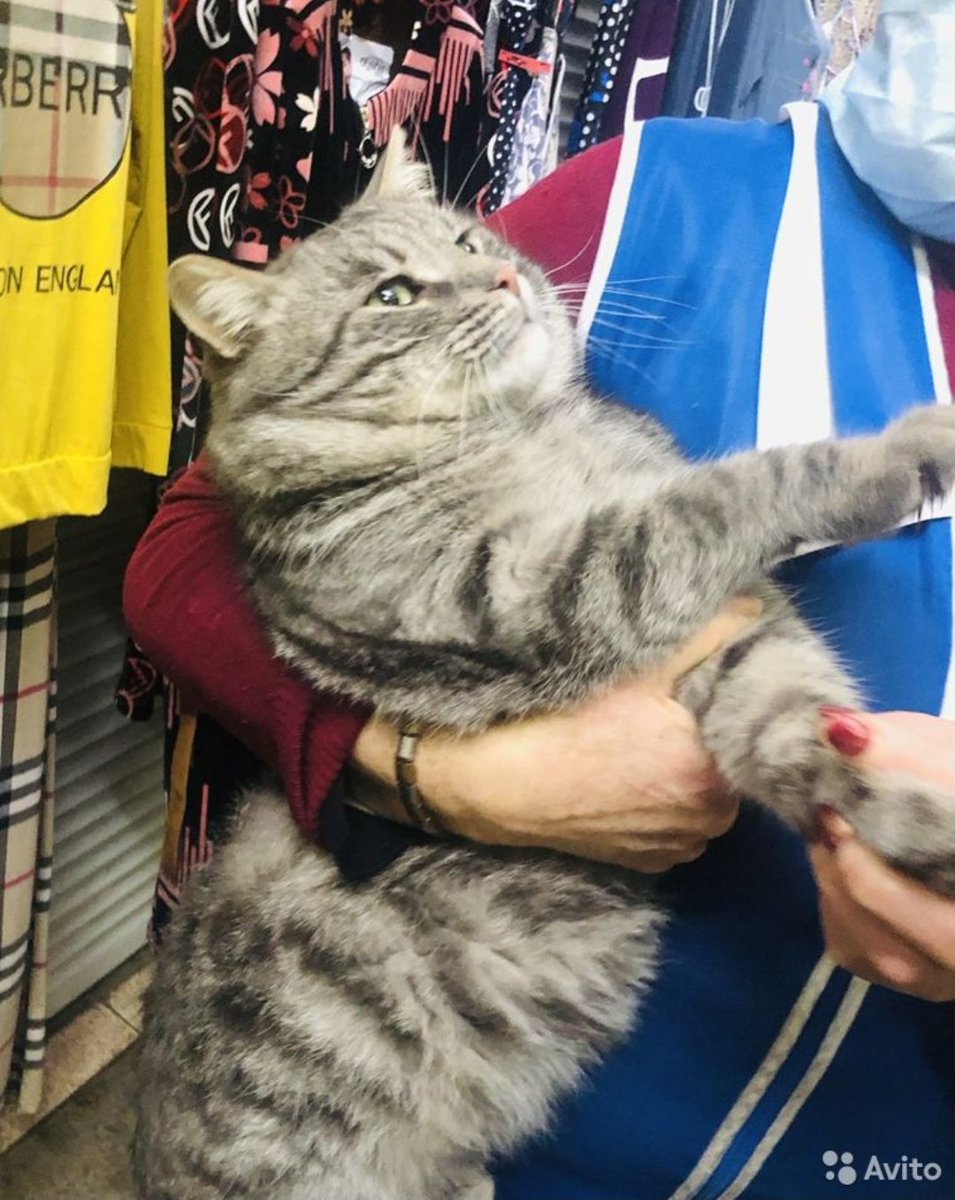 гнида из кокетства tweet media