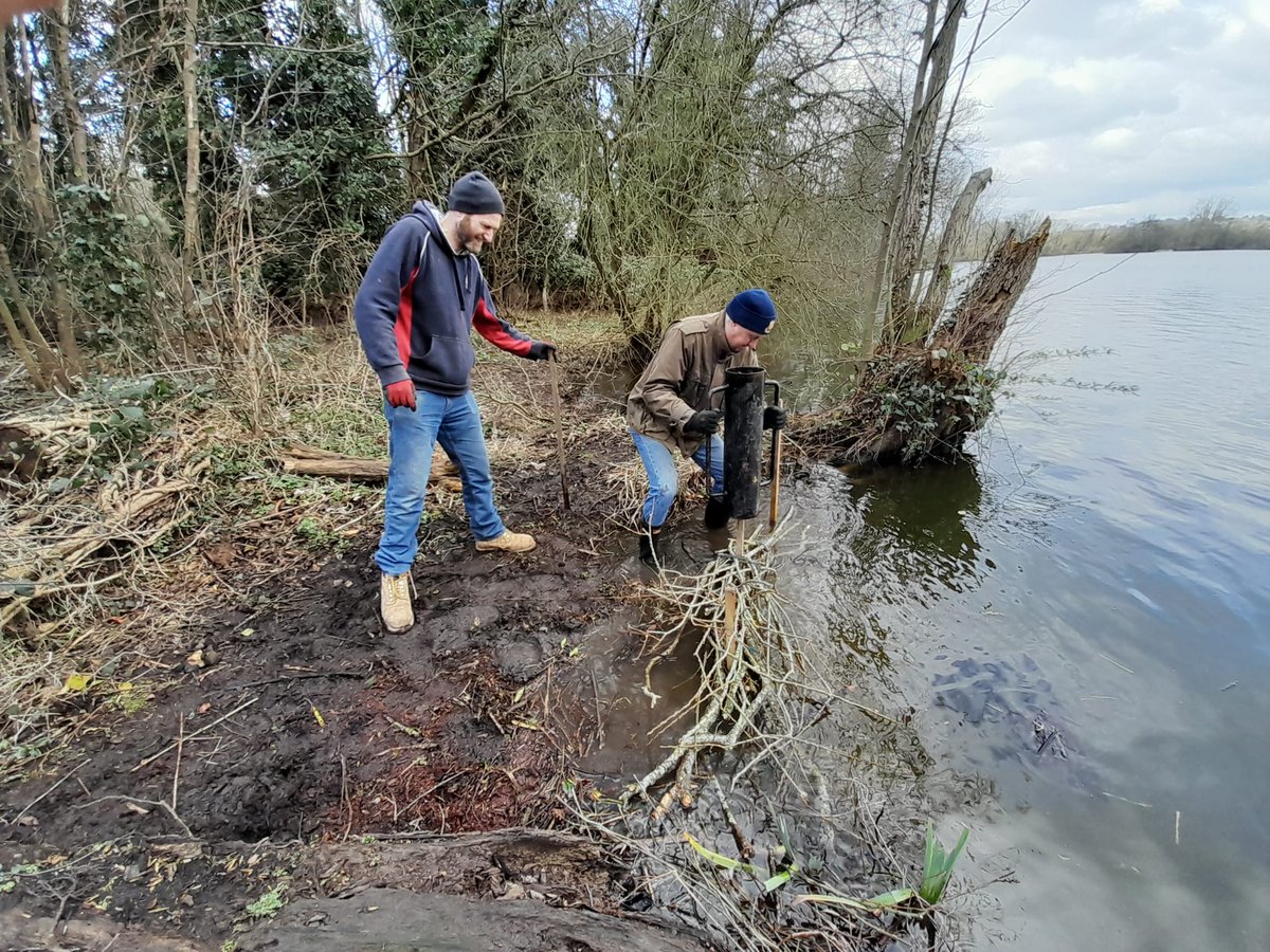HMWTBadger's tweet photo. Thanks to the help of @FoStockersLake and British Airways Club Angling Society for helping us make brash bundles with biodegradable twine and installing them around some of the fishing swims at Stocker's Lake. @AffinityWater #Conservation https://t.co/dwAkz3TV7P