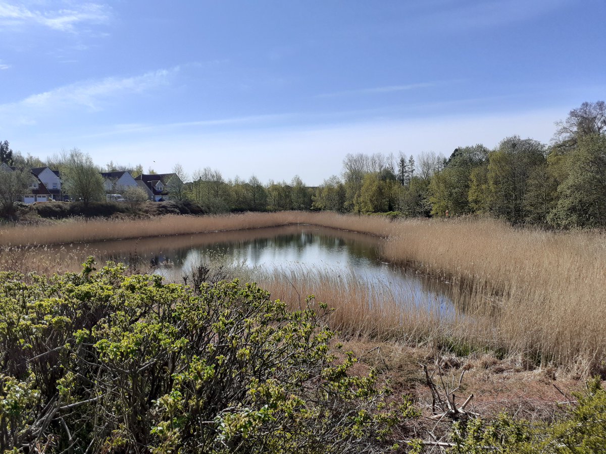 Rob Briers (@robbriersnapier) on Twitter photo Interested in the role of SUDS and other urban freshwaters in landscape-scale connectivity? Great PhD studentship with me, <a href="/Lancaster_LT/">Lesley Lancaster</a> <a href="/HighlandNewt/">Highland Newt</a> <a href="/VasilisLouca/">Vasilis Louca 🇪🇺 🇨🇾 🏴</a> and @McStrachan123 Apply by 21st March findaphd.com/phds/project/e… Please RT @BES_AquaEco, <a href="/freshwaterbio/">Freshwater Biological Association (FBA)</a> Interested in the role of SUDS and other urban freshwaters in landscape-scale connectivity? Great PhD studentship with me, <a href="/Lancaster_LT/">Lesley Lancaster</a> <a href="/HighlandNewt/">Highland Newt</a> <a href="/VasilisLouca/">Vasilis Louca 🇪🇺 🇨🇾 🏴</a> and @McStrachan123 Apply by 21st March findaphd.com/phds/project/e… Please RT @BES_AquaEco, <a href="/freshwaterbio/">Freshwater Biological Association (FBA)</a>