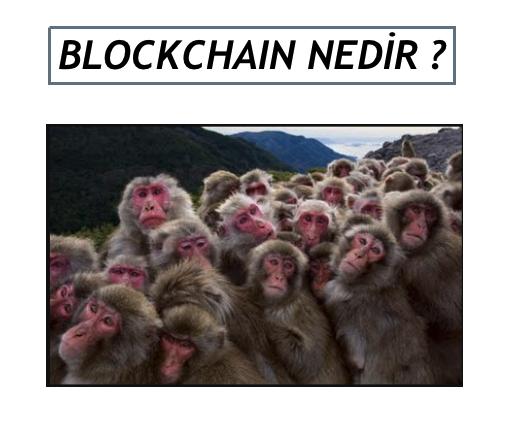 Selamlar, bugün sizlere birçoğunuzun duyduğu fakat ne olduğunu bilmediği bir kavramı elimden geldiğince anlatmaya çalışacağım. Herkes hazırsa başlayalım. 

Blockchain Nedir ?