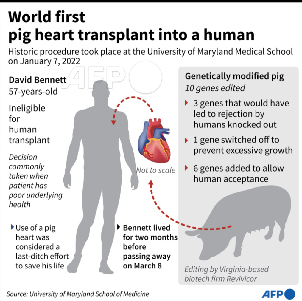 AFP News Agency on Twitter "Factfile on the world's first transplant