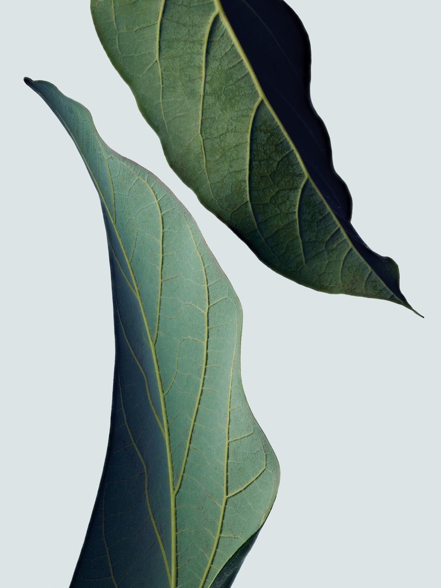 Our award winning, bond-building Botanical Repair™range leaves you with instantly stronger hair from day one…
Still haven't tried it? Well enjoy 20% off when you buy any 3 Botanical Repair products at Aveda.co.uk/garyingham
Whi...
#Aveda #AvedaCares #AvedaVegan #VeganLifestyle