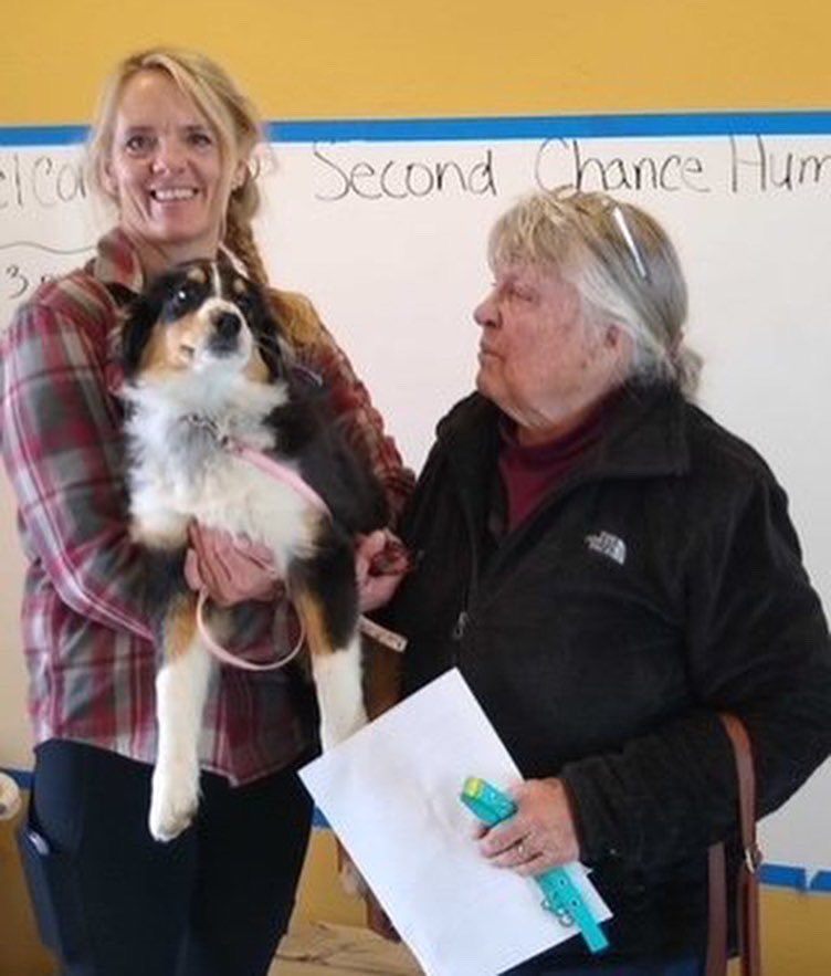 ChanceHumane's tweet photo. Home Sweet Home!❤️
The end of February and beginning of March has brought us wonderful adoptions! Thanks to all of our adopters for opening their hearts and homes to each and every one of our loveable fur-ever friends! 
#adoptmountainpets #secondchanceridgway #adoptdontshop https://t.co/UzHFoUARvv