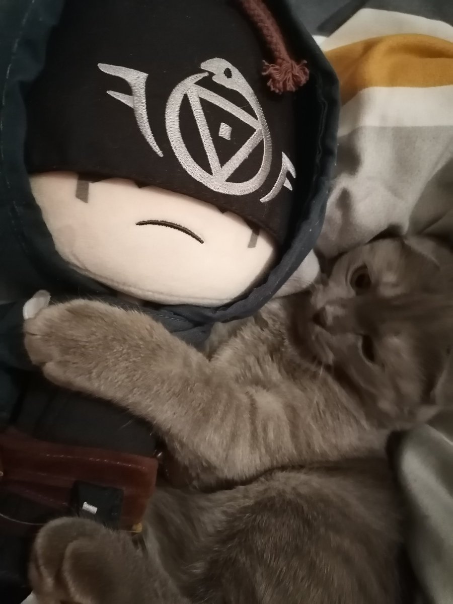 tinyowlllover's tweet photo. Меня забрали в плен, помогите... https://t.co/8hAjMJx7IR