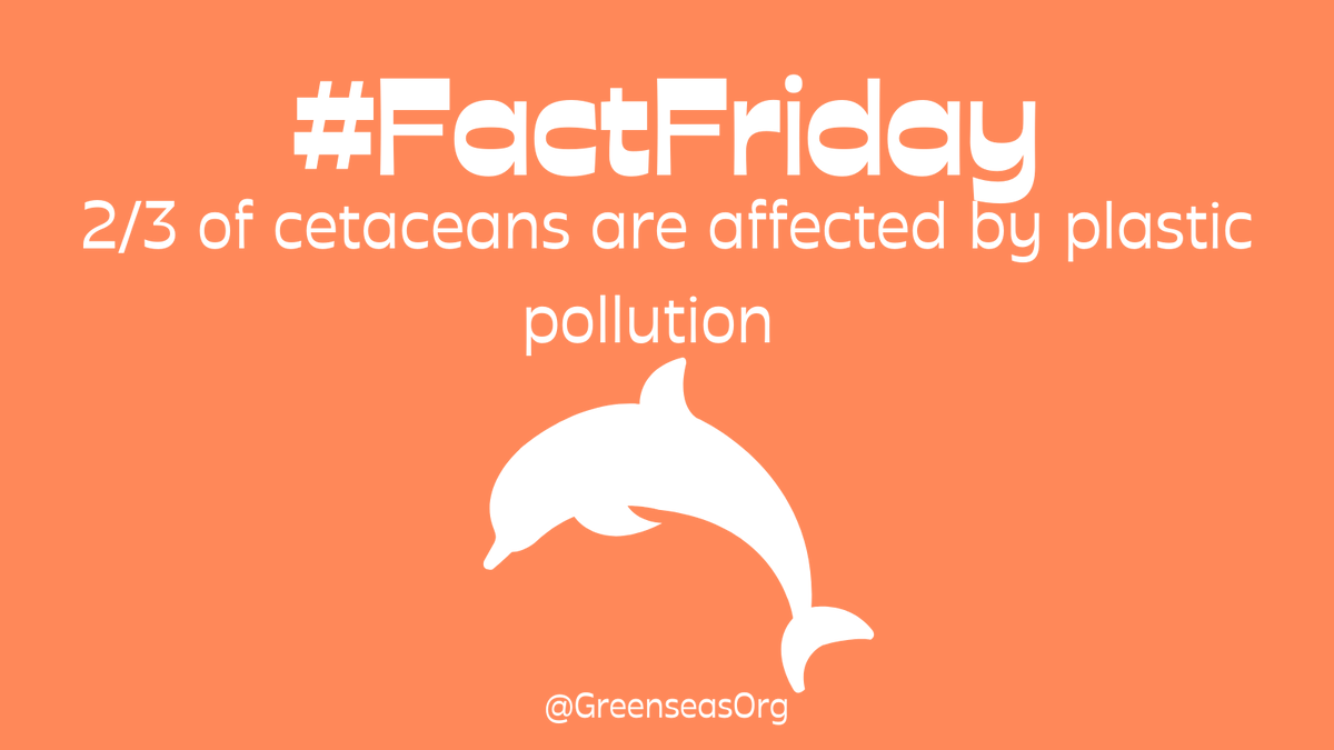 GreenSeas Trust tweet media