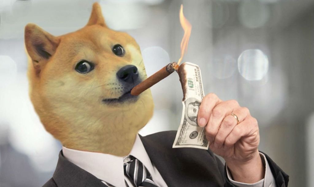 SexyDogeCoin (@sexydogecoin) on Twitter photo 
