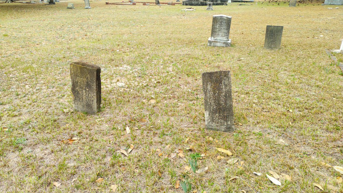 We found many interesting new tombstones that needed repair during our Pine Lawn cleanup last weekend! The Cemetery still needs more maintenance, so come join us on March 19 from 10 AM to 1 PM for another Pine Lawn Cleanup. <a href="/USCAiken/">USC Aiken</a> <a href="/USCAhpsp/">USCA History, Political Science and Philosophy</a>