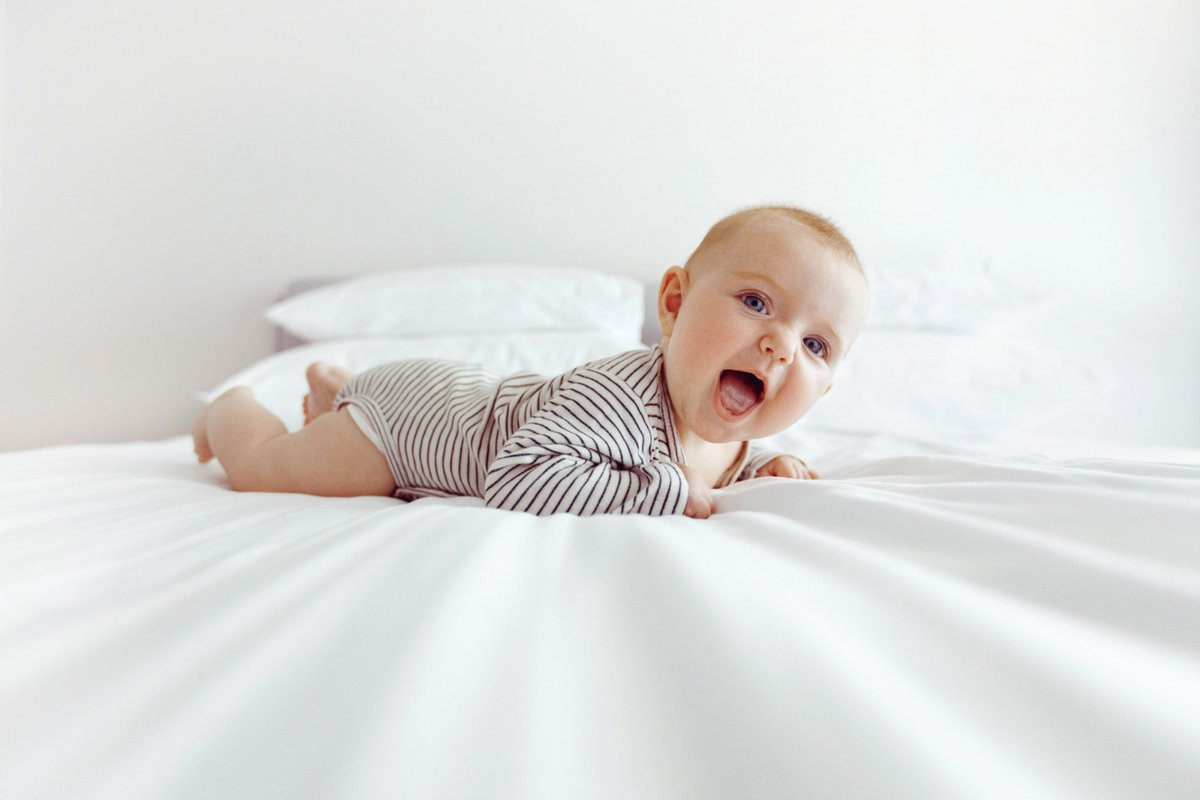 SeriousReaders's tweet photo. Light therapy could lower risk of vision problems in premature babies.
https://t.co/2apfeHYBIr https://t.co/ynTGdXByEi