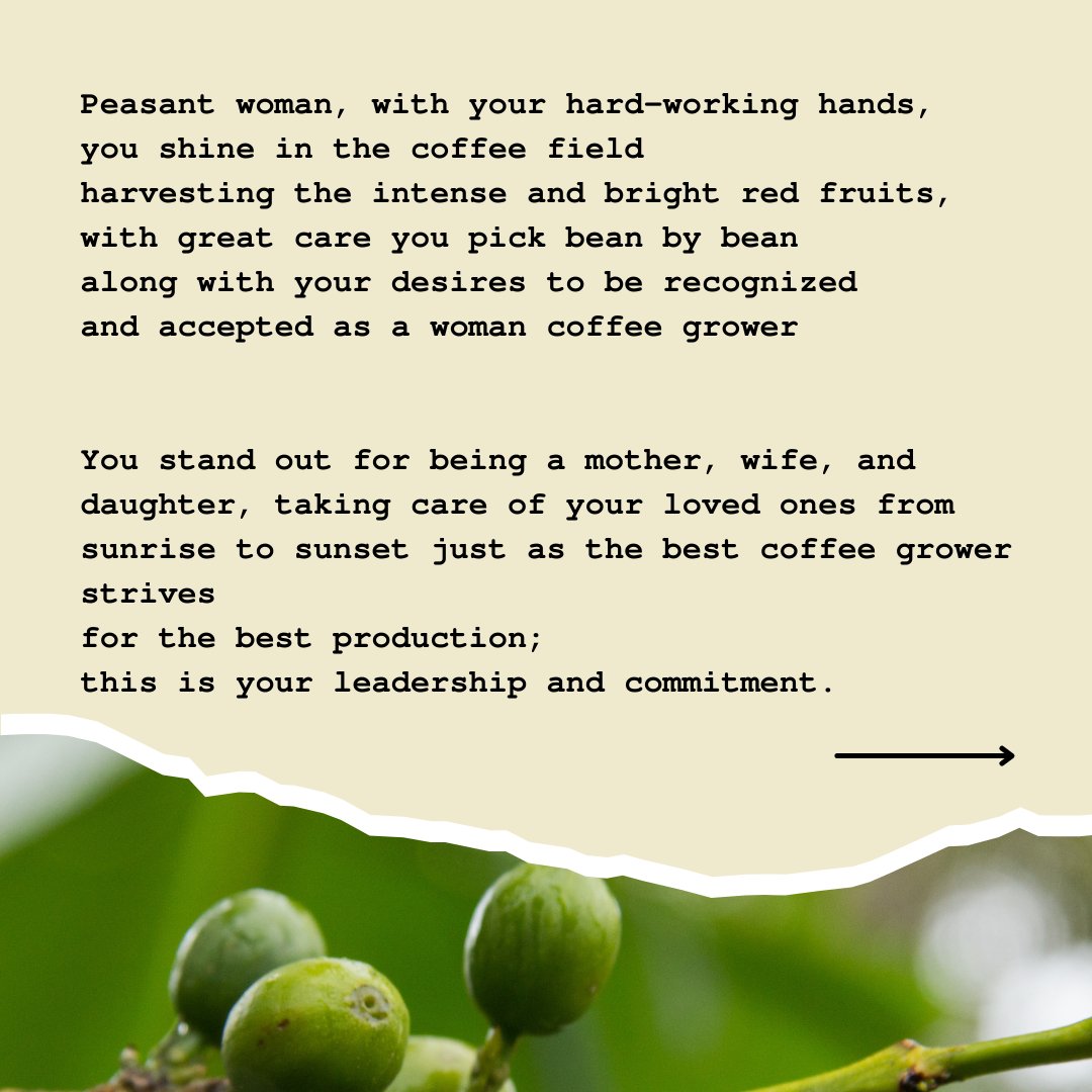 EqualOrigins tweet media