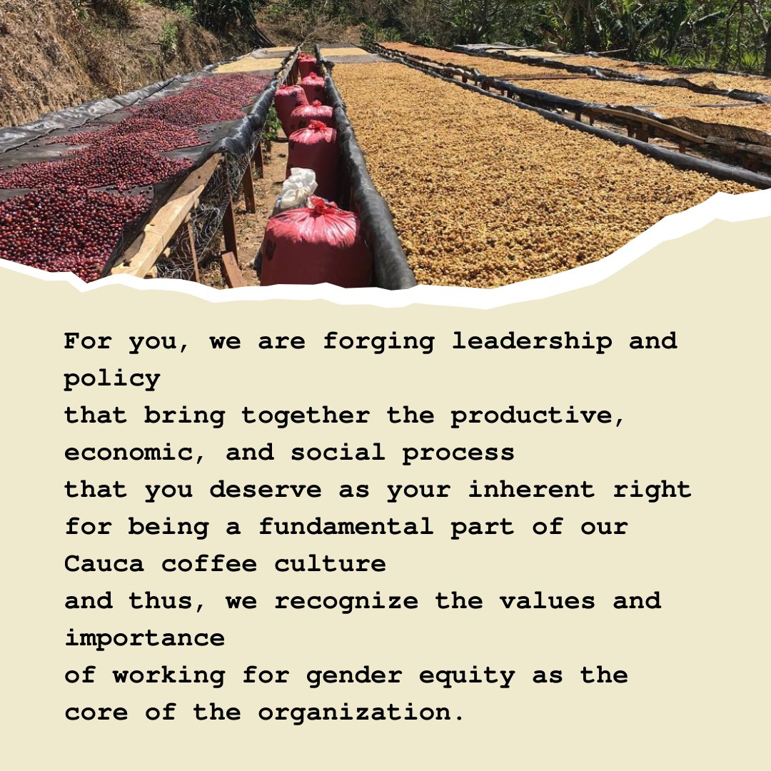 Luz Elva Chacon is the inspiring director of Nuevo Futuro, a coffee farming association based in Cauca, Colombia.  Luz Elva has been participating in our Virtual Learning Journey over the past several months, sponsored by <a href="/dunkindonuts/">Dunkin'</a>