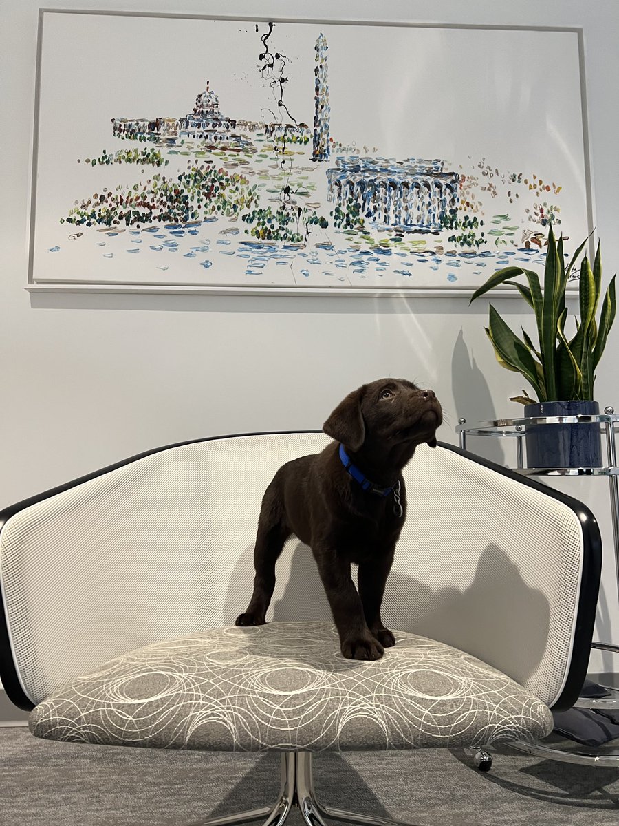 Monument Advocacy tweet media