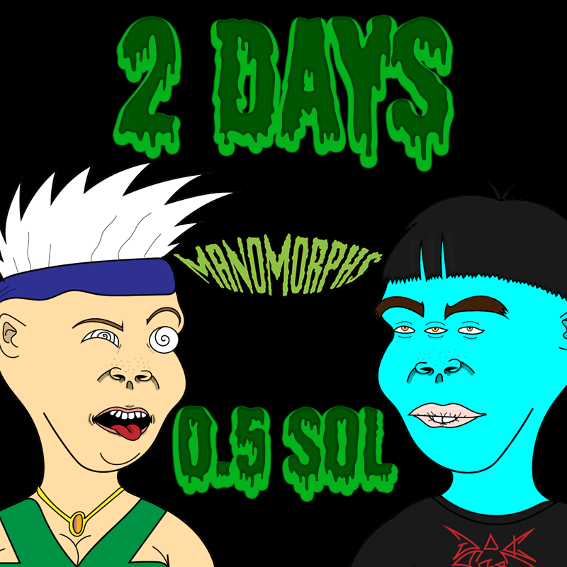 manomorphs's tweet photo. 2 DAYS! 

#SolanaNFTs #solana #NFTCommunity https://t.co/G1aOI2Ab1m