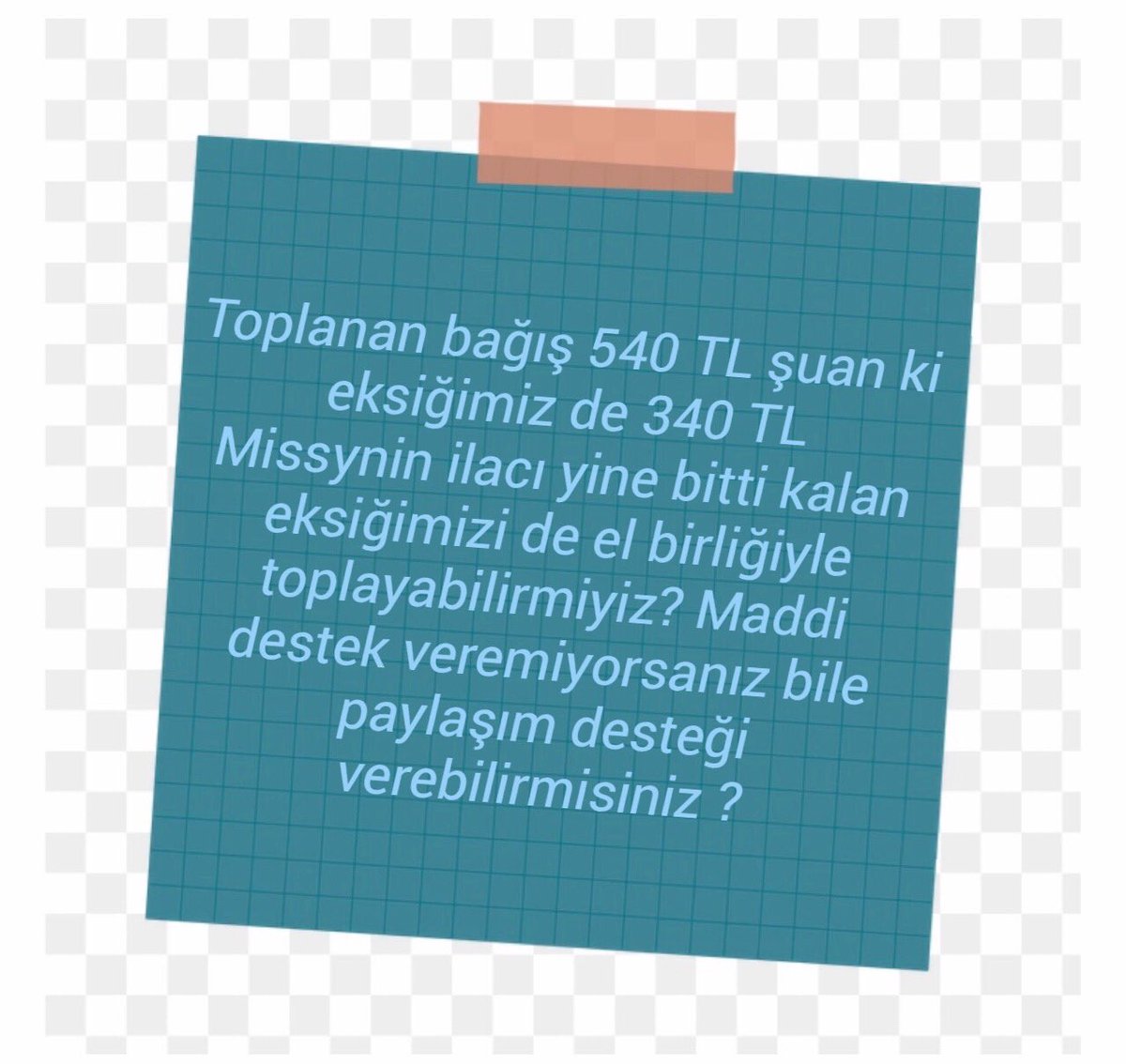 #follobackforfolloback #follo4folloback #catlovers #animals #kedi #yardım