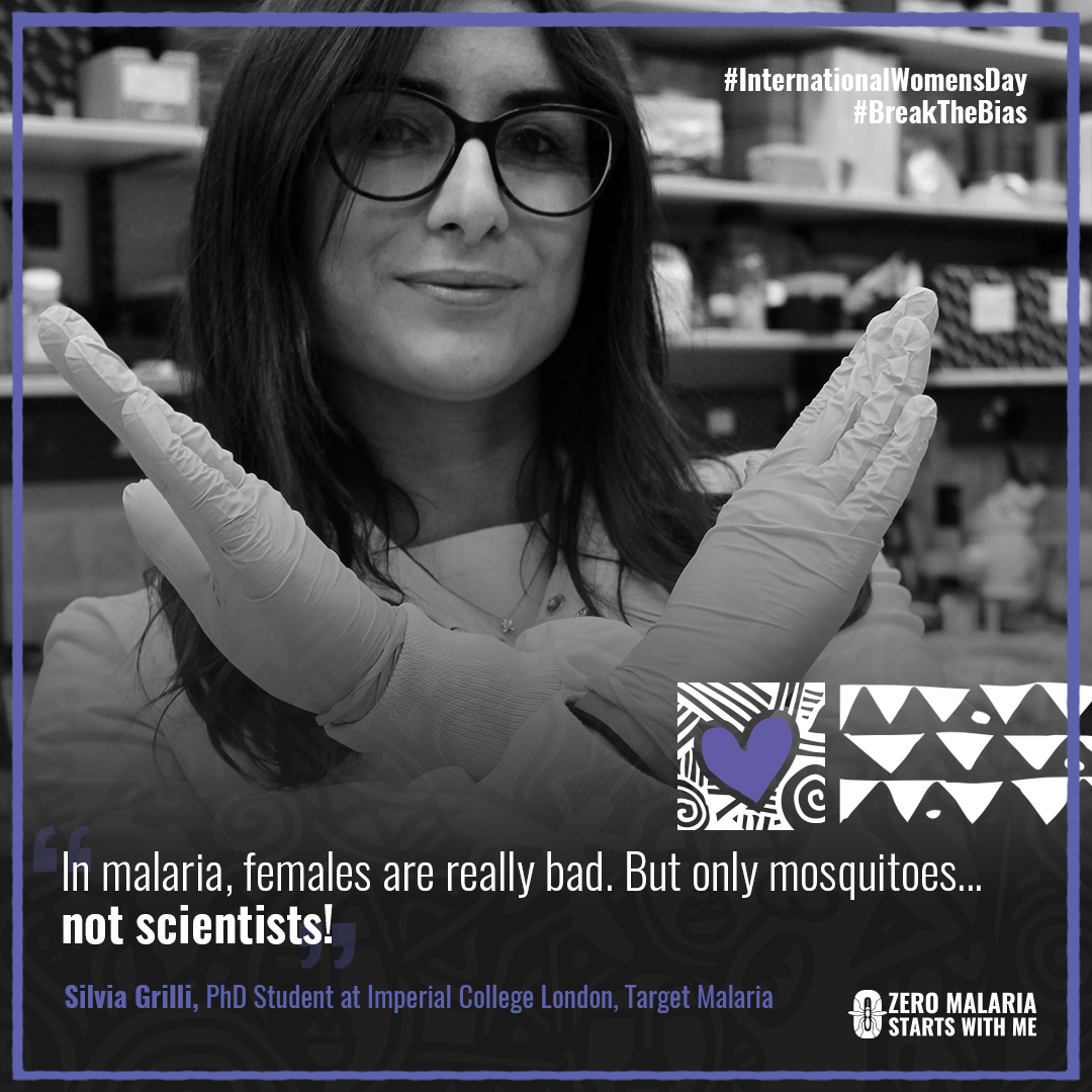 ZeroMalaria's tweet photo. To all those that took part in yesterday's #BreakTheBias campaign in support of the malaria fight for #InternationalWomensDay - thank you! Here are a fw of our favourite quotes 😍 

Let's smash stereotypes every day of the year ✊🏿 ✊🏽 ✊🏻 https://t.co/RnlnTfIiwH