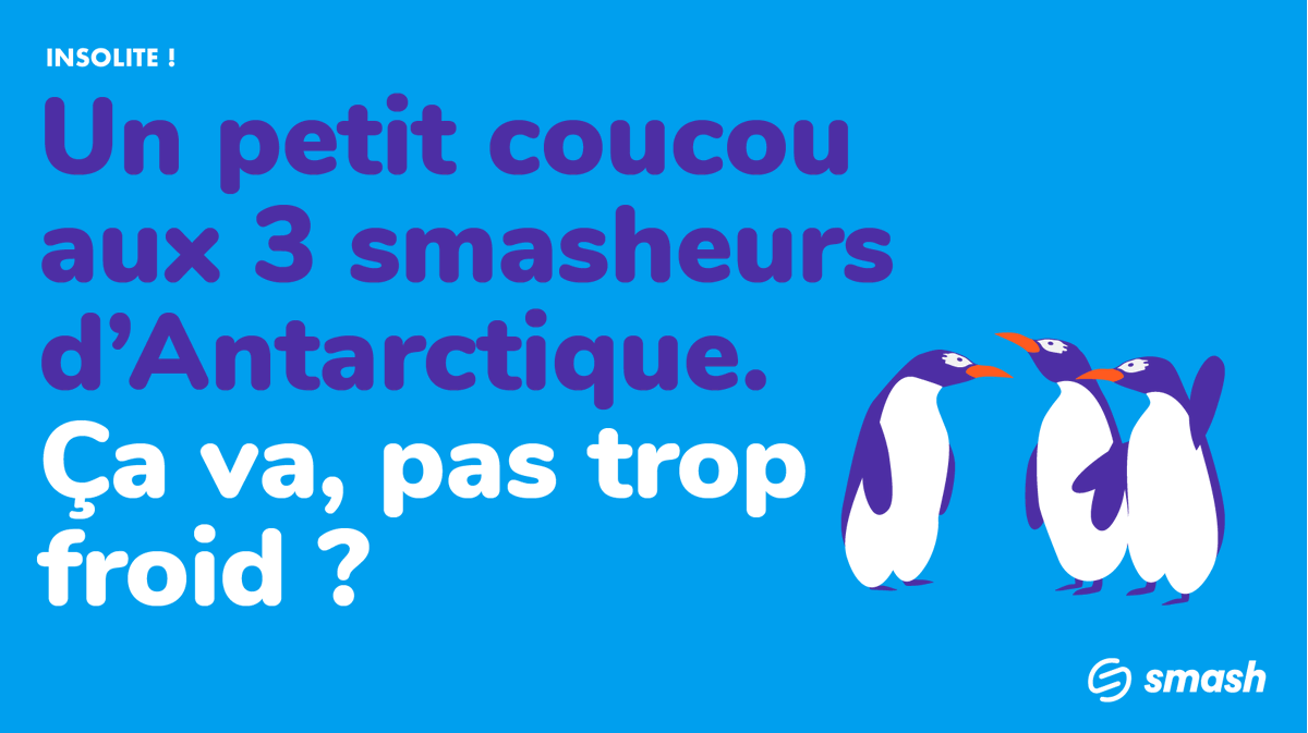 Smash 🇫🇷 tweet media