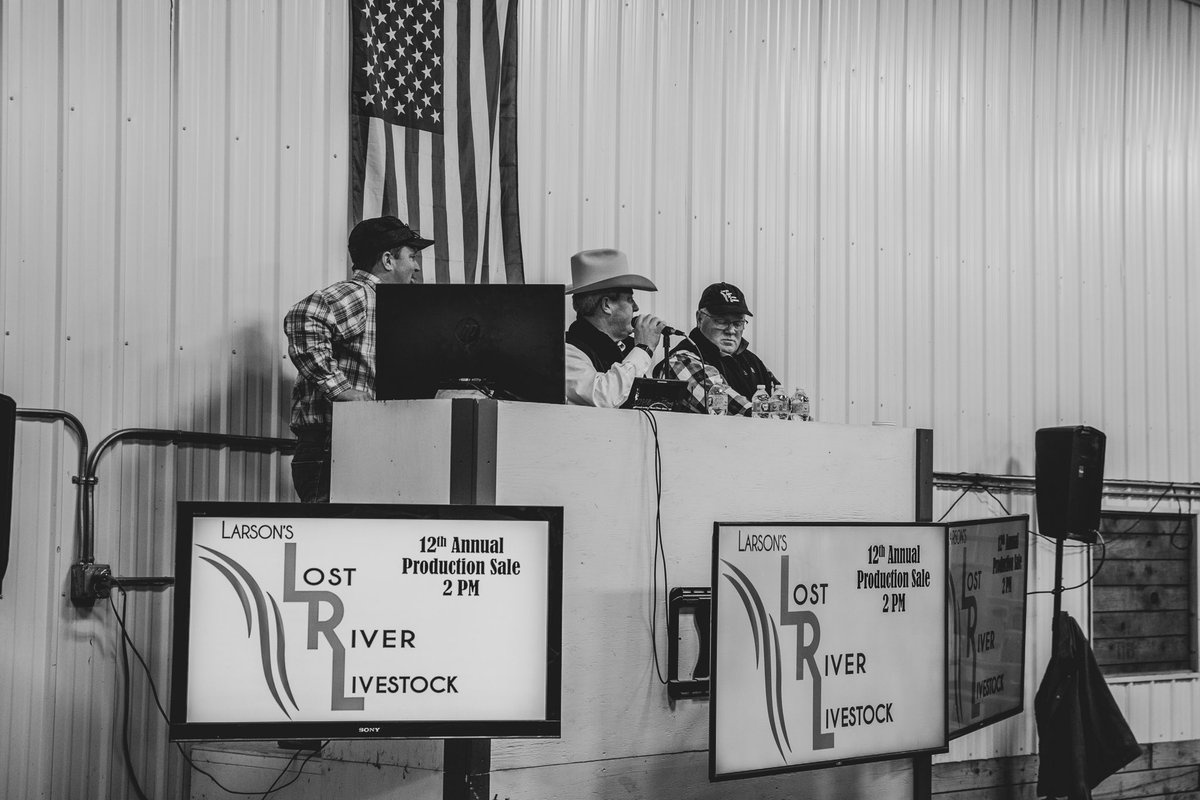 amlemm's tweet photo. A few weeks ago at Lost River Livestock https://t.co/7k8VdSAPxm