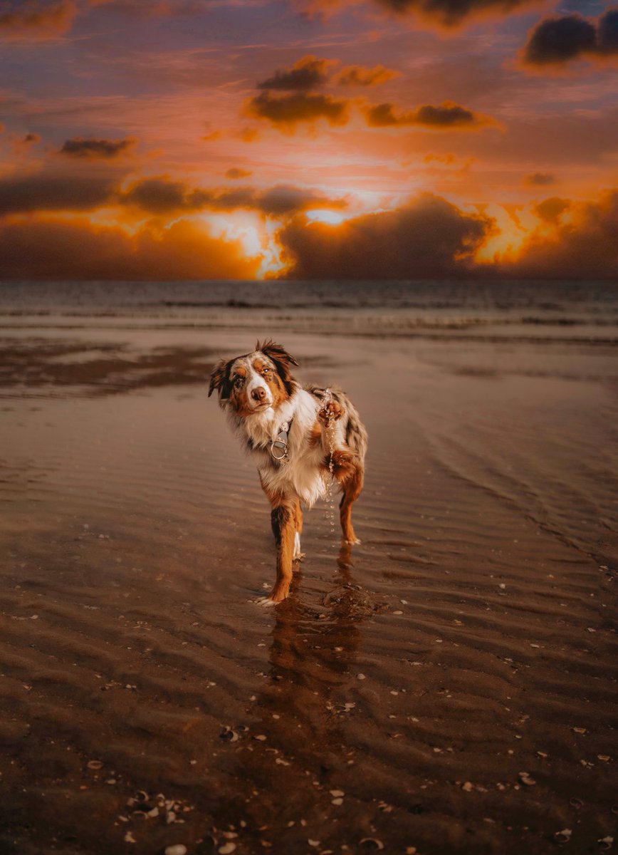 Opie Remy & Melo tweet media