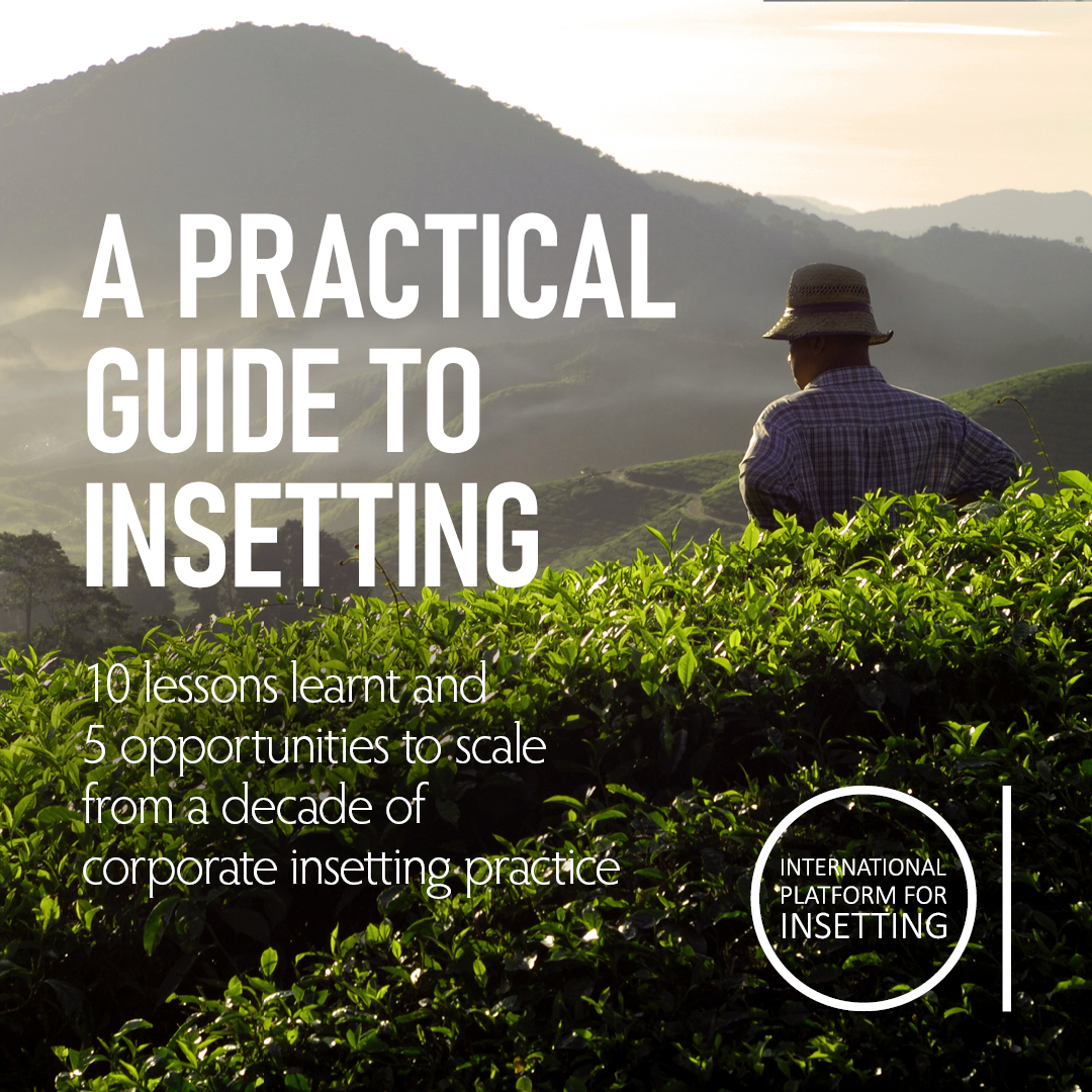 International Platform for Insetting tweet media