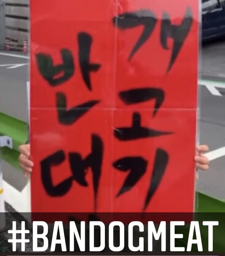 ore85978031's tweet photo. #韓国新大統領 、必ず犬肉産業を廃止にして下さい
拷問、虐殺、犬肉食…先進国のやる事ではない

 #BanDogMeat #韓国大統領選挙 #韓国大統領選 #韓国 #犬肉 #犬肉食 #ボクナル https://t.co/WtAHTmoBV9