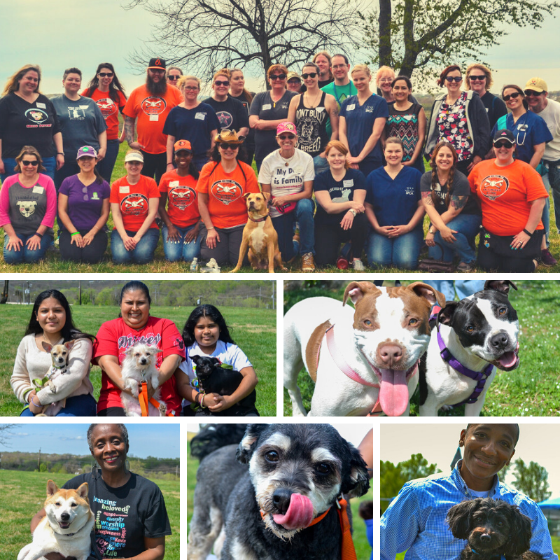 BMoreDog's tweet photo. Check out our latest newsletter to volunteer at the first B-More Dog Wellness Clinic of the year in Brooklyn!  We also need donations to keep providing all of the services the dogs we serve desperately need.  https://t.co/52VkG27A9D  #BMoreDog #BaltimoreDogs #BaltimoreVolunteers https://t.co/HgpHcnbZwz