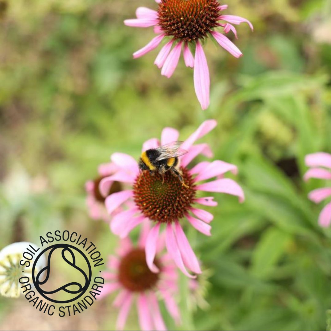 TheRedTreeTRT's tweet image. According to @SoilAssociation &quot;38% of shoppers said they have stopped purchasing certain beauty and wellbeing brands due to ethical or sustainable concerns&quot;

Discover more of @SoilAssociation&apos;s insights in their 2022 Report found on their website: soilassociation.org/take-action/or…