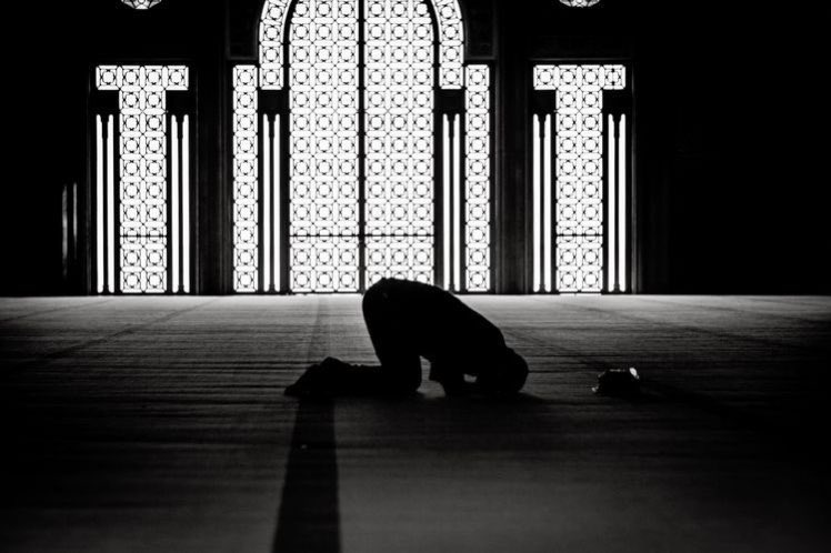 جلمّبو 💎📸 tweet media