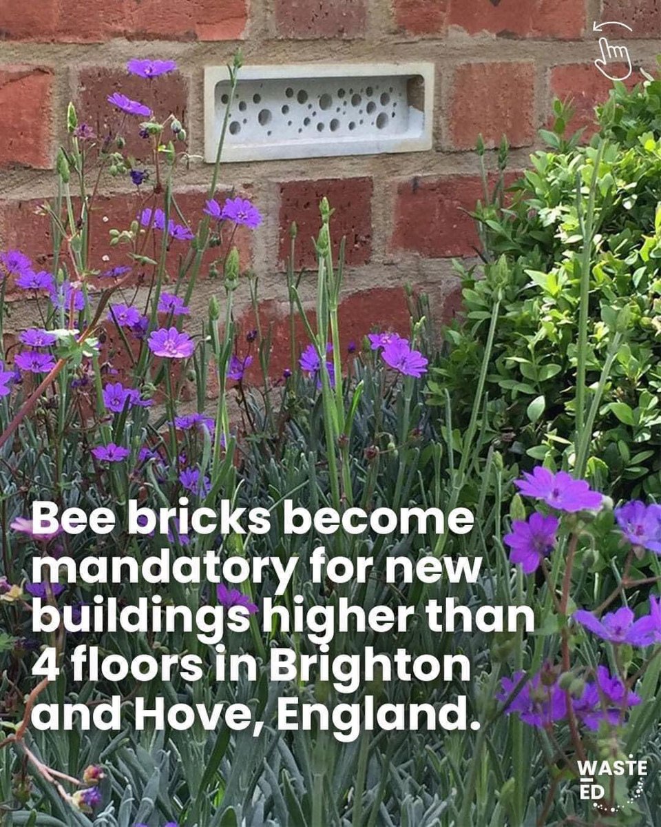 msv_ruth's tweet photo. BEE BRICKS become mandatory for new builds above 4 floors in Brighton and Hove #bees #beebricks #biodiversity #SaveTheBees 🐝 https://t.co/E9DyhIesUO