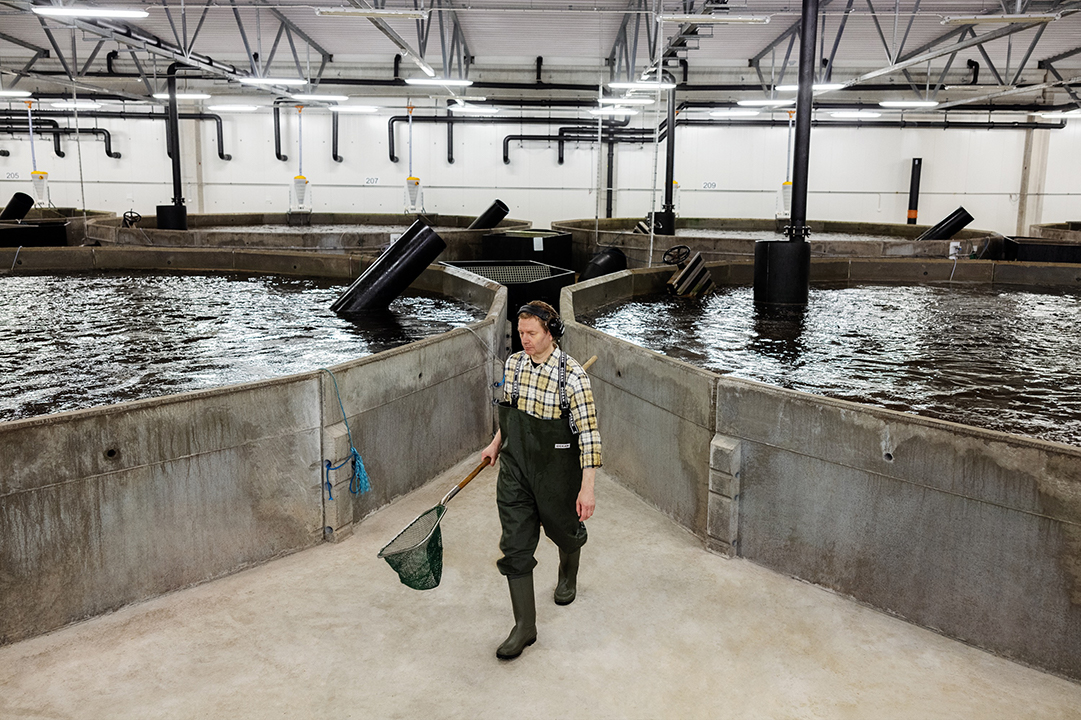 FifaxAbp's tweet photo. We have received the ASC certificate for sustainable aquaculture as the first farm in Finland. Read more about the certificate and sustainable fish farming from our CEO Samppa Ruohtula: https://t.co/sYryI85FpM https://t.co/3A2zD41flk