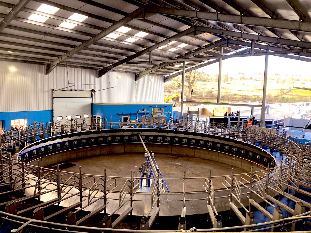 JoshuaKeeble94's tweet photo. Productive first milking on the new DeLaval E300 in Oswestry with Yareal UK.

Great effort by everyone involved for a smooth first milking. 🐮🥛✅

@DeLaval_UK_IRE 
@DeLaval 
@dairyscopeltd 
@marktaylor10874 
@mecontracting2 https://t.co/5qgA6GFrNQ