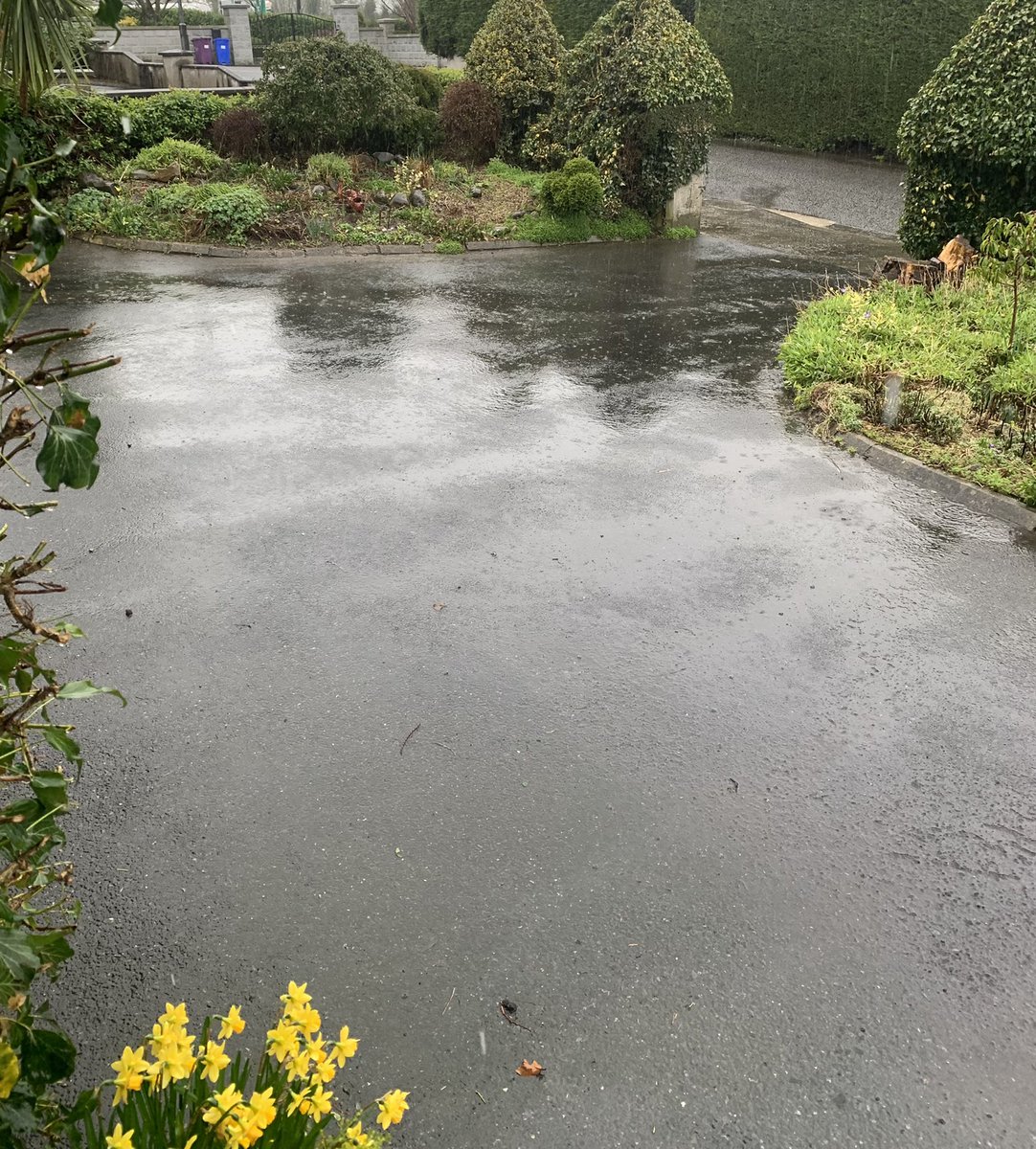 Anne Healy tweet media