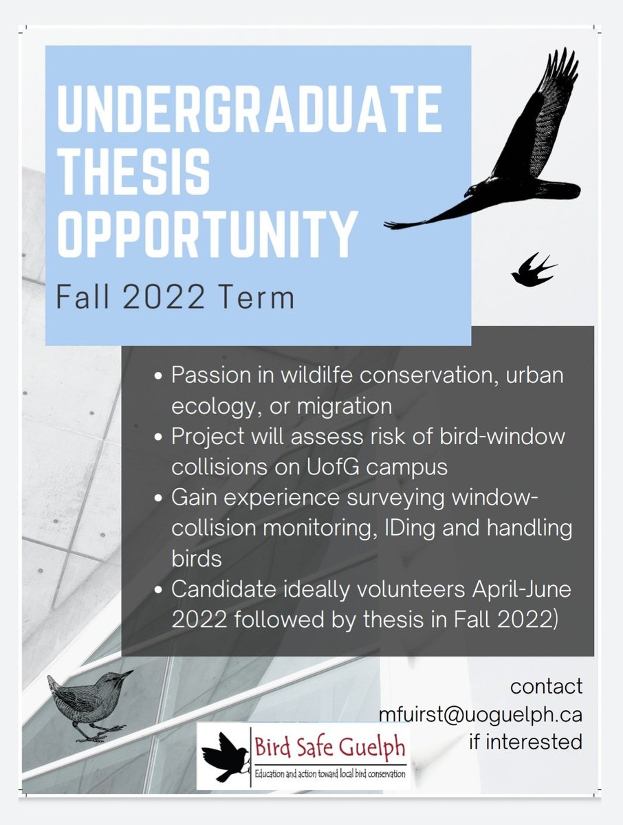 Bird Safe Guelph will begin window collision monitoring at the University of Guelph campus and we want your help! Volunteering is open to anyone able to get to campus, and the thesis opportunity is open to a U of G student. Please retweet!