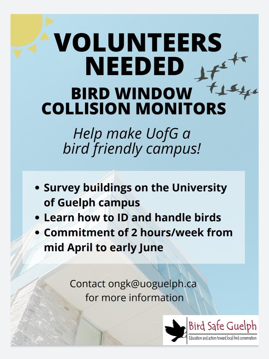 Bird Safe Guelph tweet media