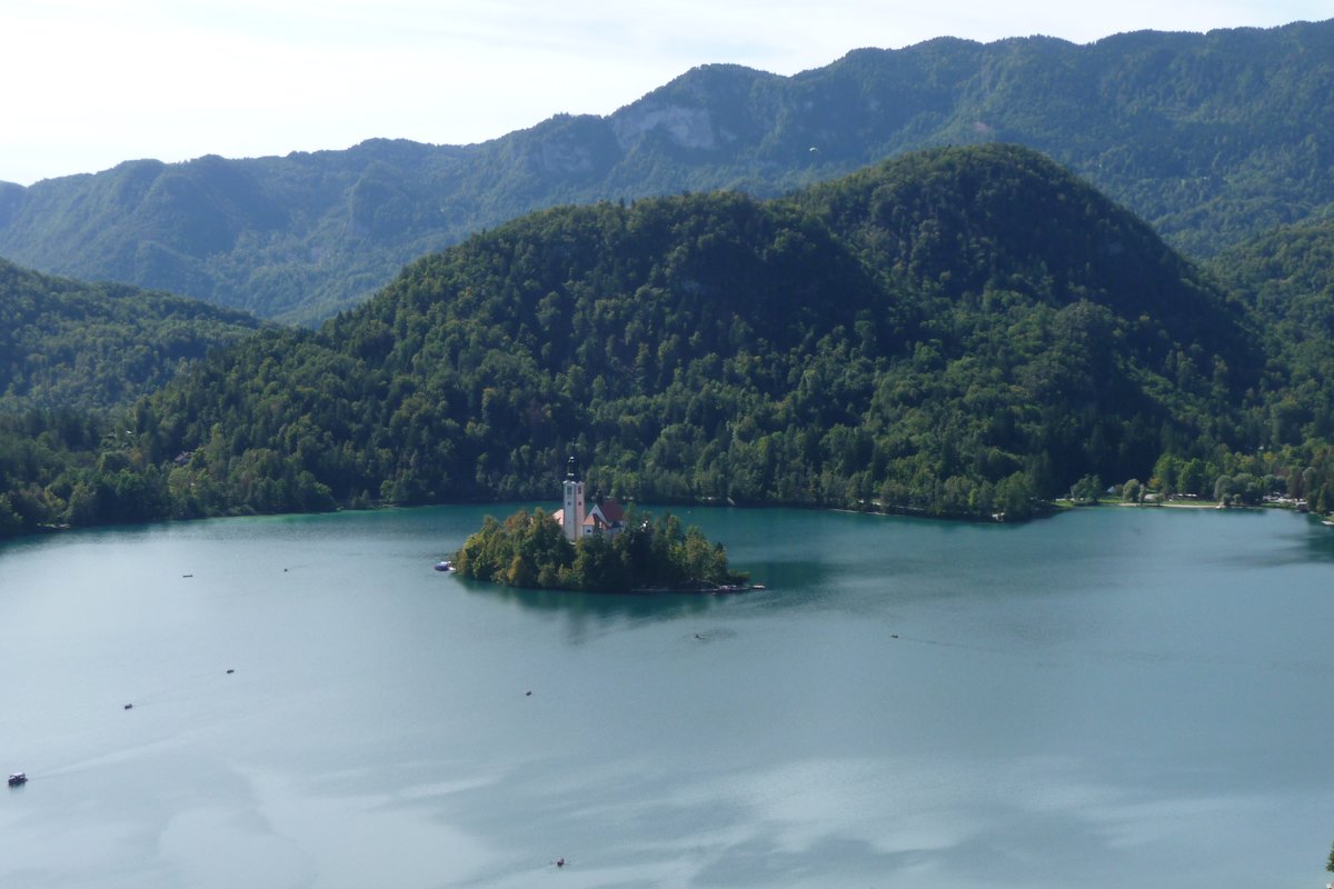 UkuleleNige's tweet photo. @SloveniaInfo @TincaMarinca Lake Bled. And not just for the cake!
#LakeBled @BledSlovenia #ifeelsLOVEnia #Bled #BledCake https://t.co/YZFaxjj9AA