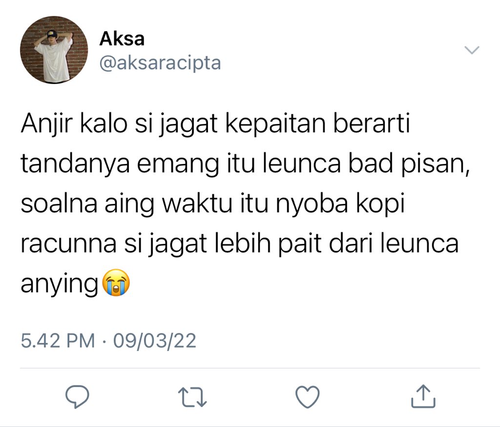 R a y a tweet media