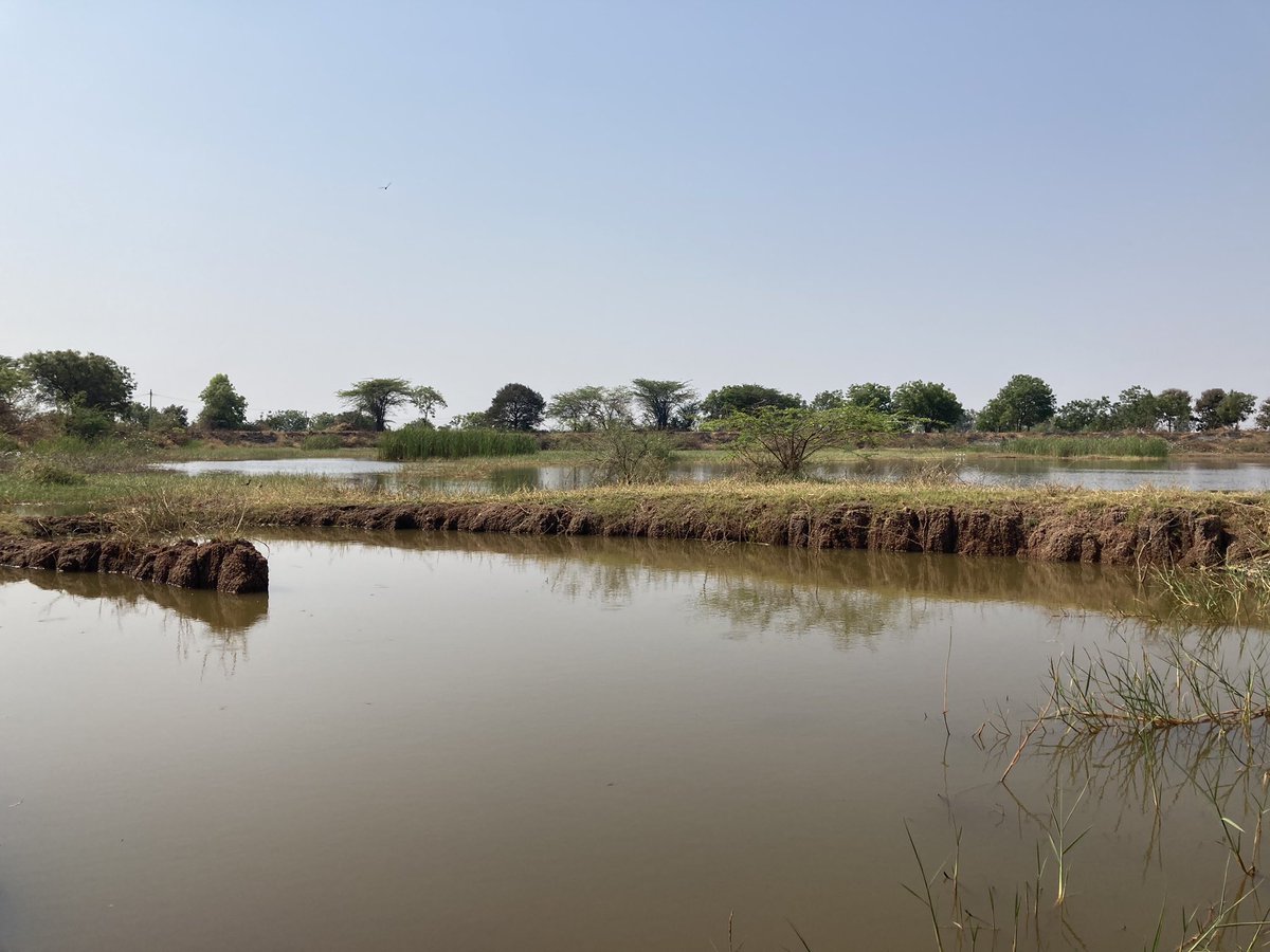livinglabs_net's tweet photo. Water stories, governance, cultures and ecologies from Bidar district is emerging as one of our new clusters. We share this on-going place-based work with @Team_YUVAA 
Top L-R: Stepwell in Muchalamb(pc-Abhishek), Udamnalli Keri
Bottom L-R: Well in Karkanelli,Bhangi Bawdi Bkalyan https://t.co/b1cZEkpBhE